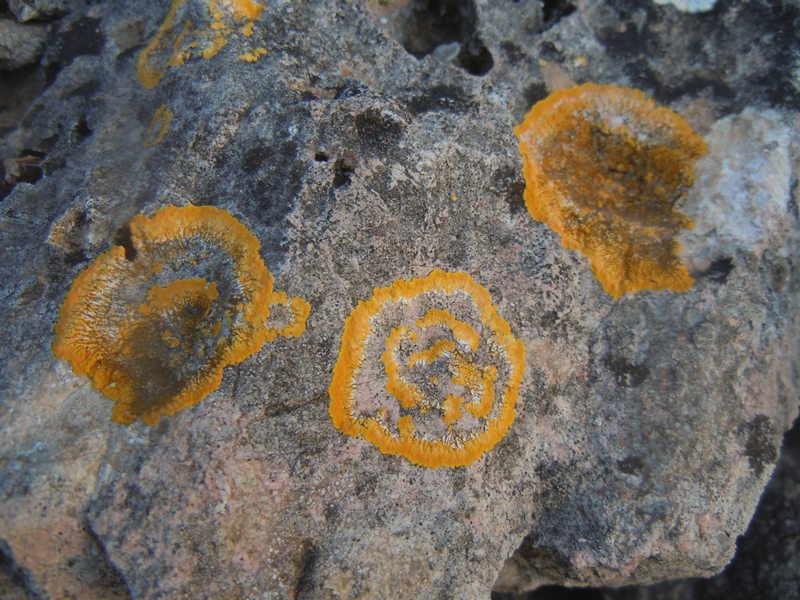 dal Promontorio di Capo Figari